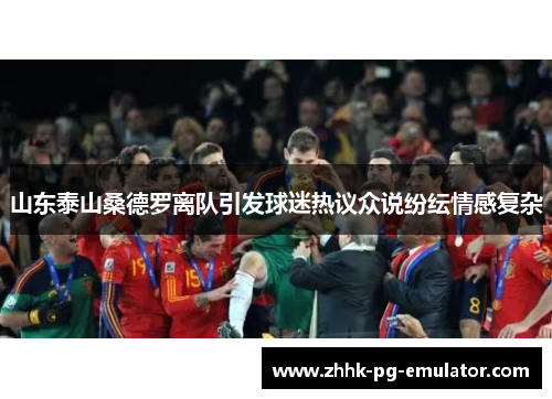 山东泰山桑德罗离队引发球迷热议众说纷纭情感复杂