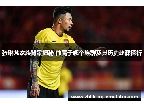 张琳芃家族背景揭秘 他属于哪个族群及其历史渊源探析