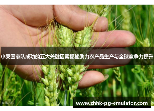 小麦国家队成功的五大关键因素揭秘助力农产品生产与全球竞争力提升