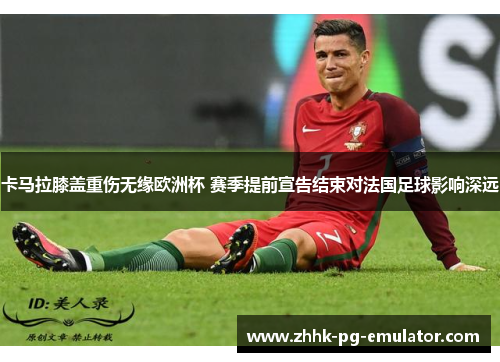 卡马拉膝盖重伤无缘欧洲杯 赛季提前宣告结束对法国足球影响深远